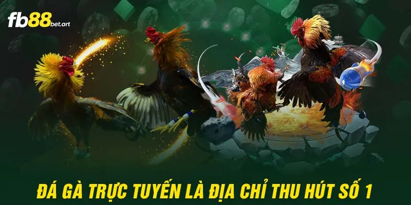 Đá gà trực tuyến là địa chỉ thu hút số 1