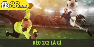 kèo 1x2 là gì