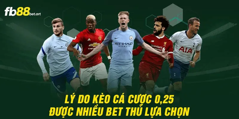 Lý do kèo cá cược 0.25 được nhiều bet thủ chọn