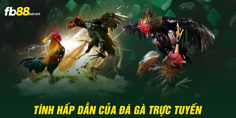 Tính hấp dẫn của đá gà trực tuyến 